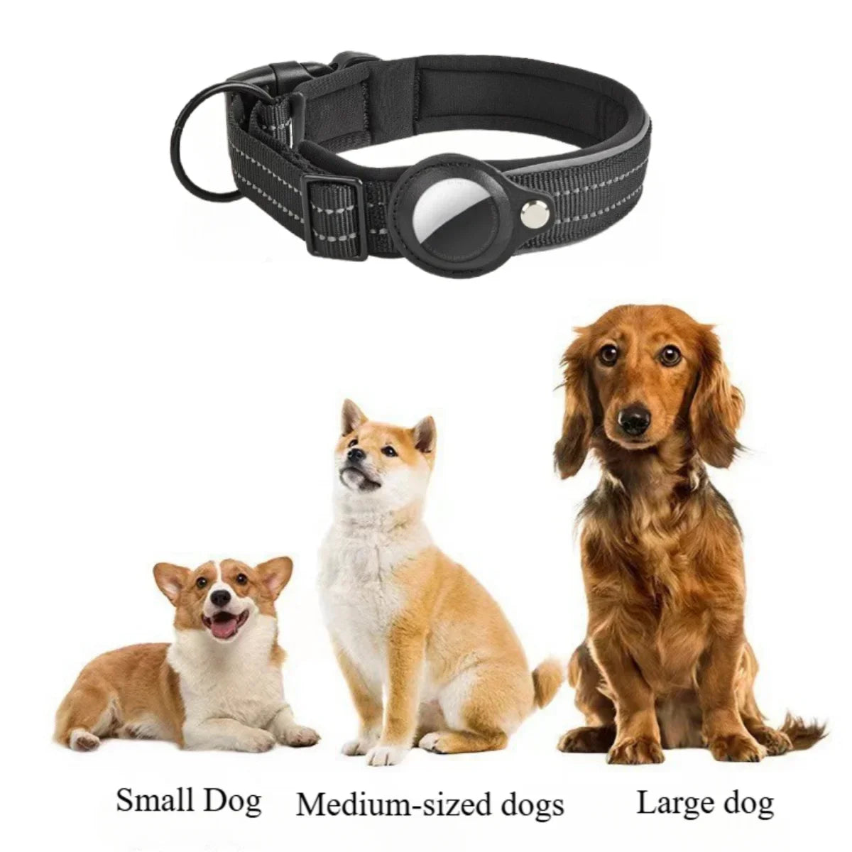 Dog Tracking Collar
