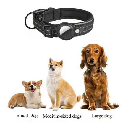 Dog Tracking Collar