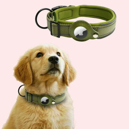Dog Tracking Collar